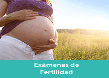 Examenes de Fertilidad